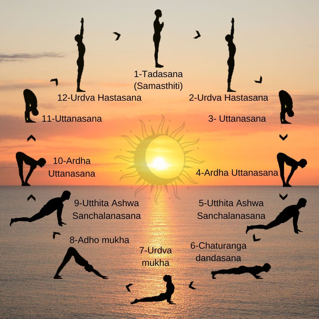 Surya Namaskar sequence illustration